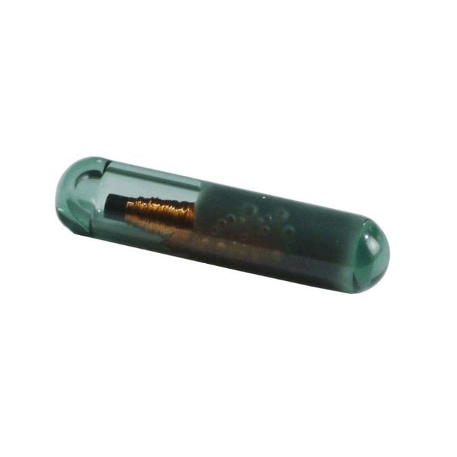 CAME Pack of 50 glass transponder bulbs TAG-50