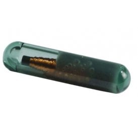 Pack of 50 glass transponder bulbs TAG-50