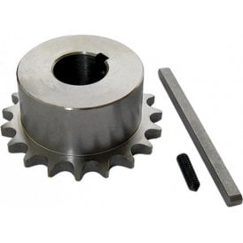 Pinion Z=19 + Groove Wedge L19