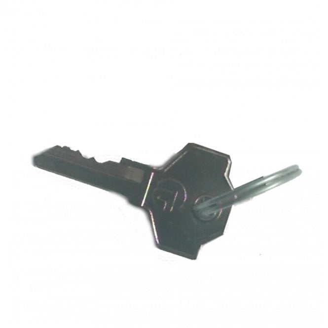 FAAC 770 Key No. H201 (Pack of 2)